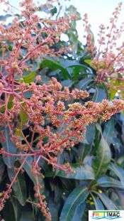 629imageIMG 20250120 110303.111.jpg