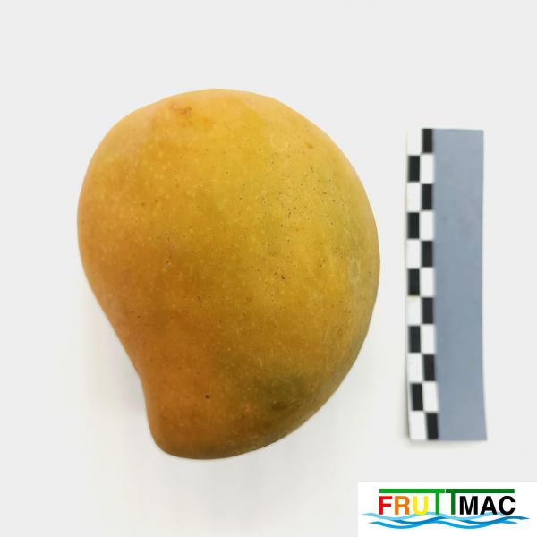 Archivo:68imageIMG 20230811 132452(2).jpg