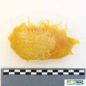 79imageIMG 20220919 093359.jpg