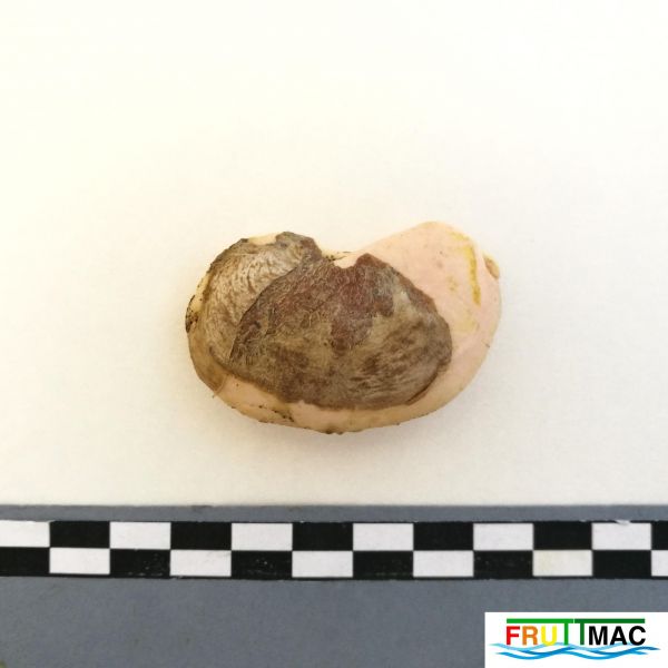 Archivo:72imageIMG 20220921 095407 (2).jpg