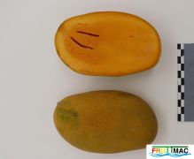1047imageIMG 9030.jpg