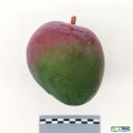 632imageIMG 20230803 141408 (2).jpg