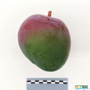 632imageIMG 20230803 141408 (2).jpg