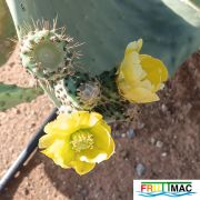 991imageIMG 20250521 102145.111.jpg