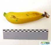 202imageIMG 1610.111.JPG