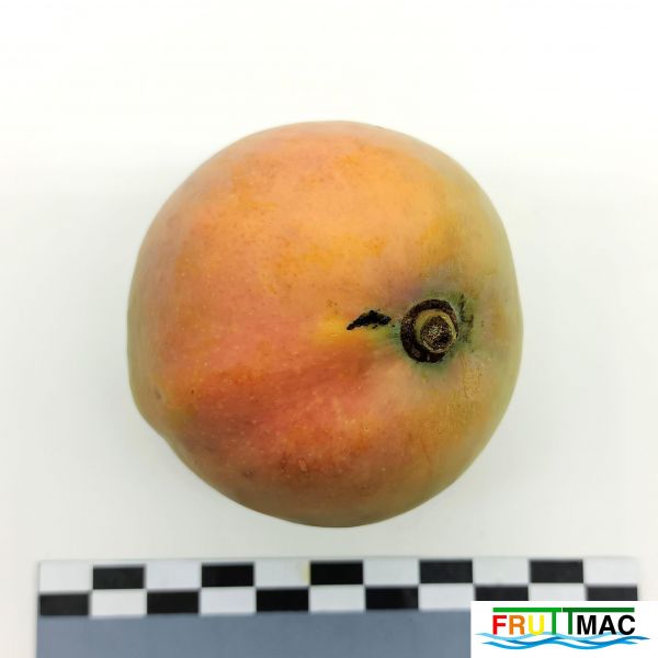 Archivo:611imageIMG 20230809 133428 (2).jpg