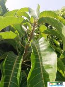 628imageIMG 20240716 115222(1).jpg