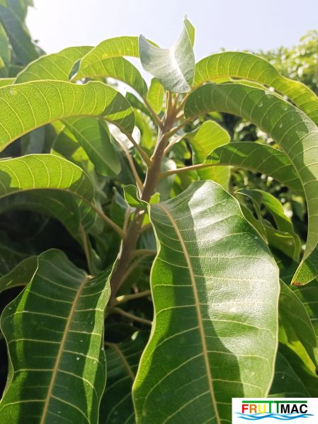 Archivo:628imageIMG 20240716 115222(1).jpg