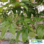 895imageIMG 20230420 100841.jpg