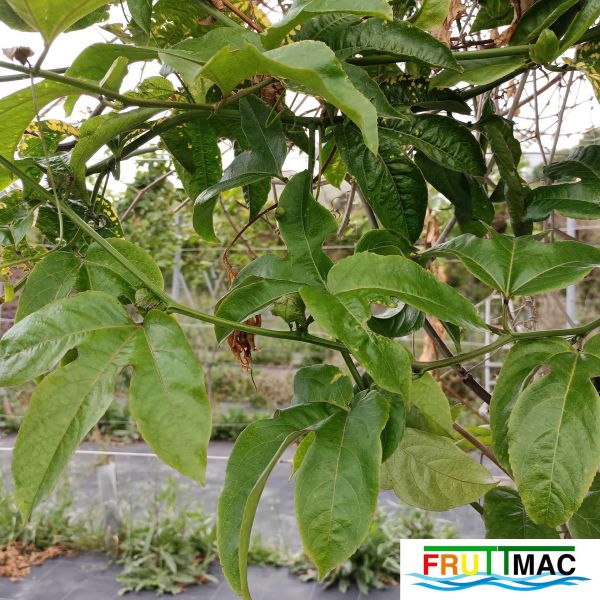 Archivo:895imageIMG 20230420 100841.jpg