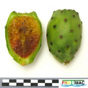 991imageIMG 1803.111.JPG