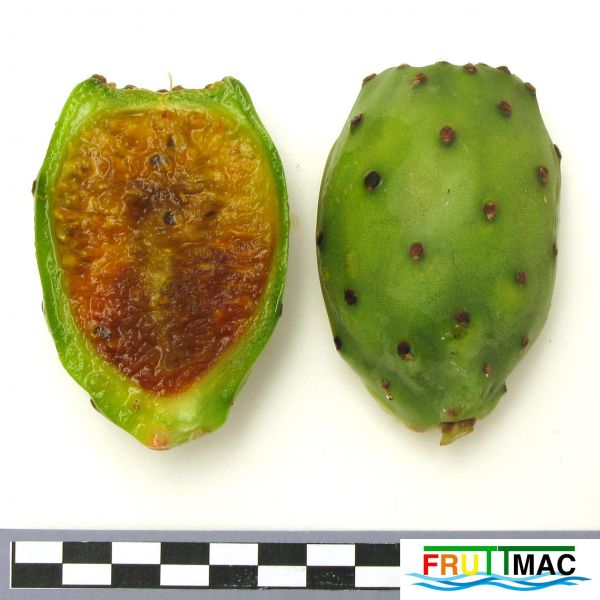 Archivo:991imageIMG 1803.111.JPG