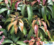 112imagePopeIMG 1021 (3).jpg