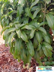 631imageIMG 20240716 115749(1).jpg