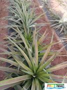 935imageIMG 20231228 095314.jpg