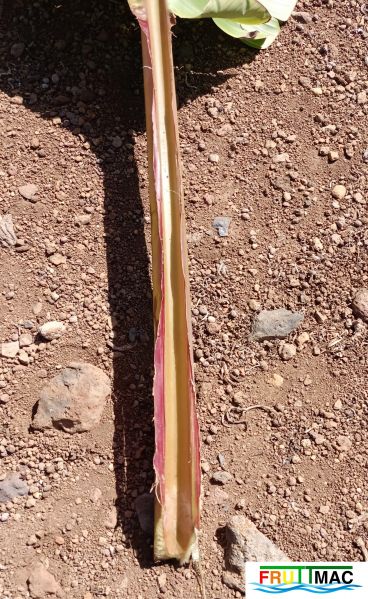 Archivo:1021imageIMG 20250321 114054.111.jpg