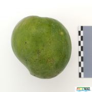 57imageIMG 20230831 123721.jpg