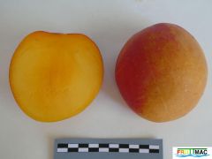 126imageP1010198 (2).jpg