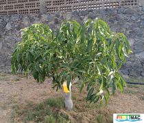 51imageIMG 20240717 090328(1).jpg