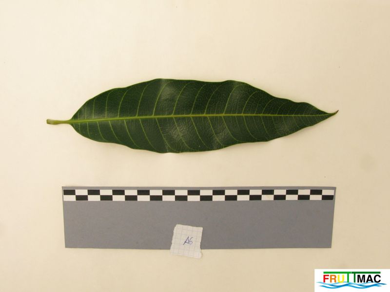 Archivo:60imageIMG 0865 (2).JPG