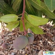 632imageIMG 20240716 115901(1).jpg