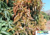 70imageIMG 20230329 124656 (2).jpg