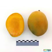 633imageIMG 20230807 113804 (2).jpg