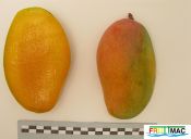 132imageIMG 2493.jpg