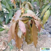 611imageIMG 20240717 090104(1).jpg