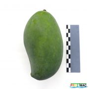 622imageIMG 2262.JPG