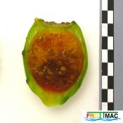 991imageIMG 1807.111.JPG