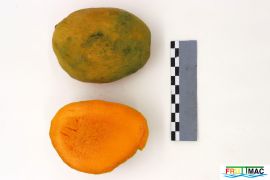 1074imageIMG 9085.jpg