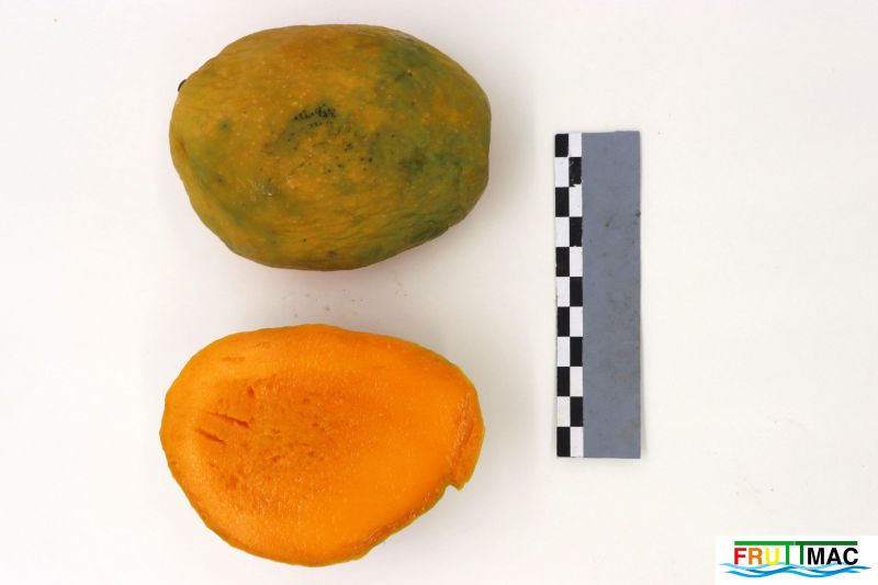 Archivo:1074imageIMG 9085.jpg