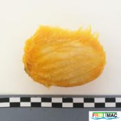 113imageIMG 20220926 111044 1.jpg