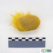 624imageIMG 2881.JPG