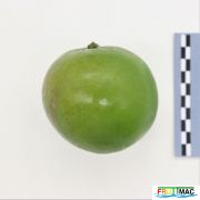 627imageIMG 1107 (2).JPG