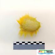 627imageIMG 20230807 113309 (2).jpg