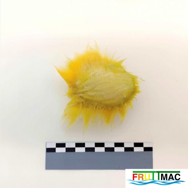 Archivo:627imageIMG 20230807 113309 (2).jpg