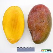 88imageIMG 4772.JPG