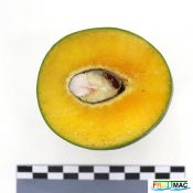 115imageIMG 4348.JPG