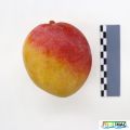 Miniatura de la versión del 06:22 18 jun 2025