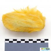 137imageIMG 4812.JPG