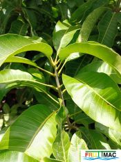 627imageIMG 20240716 115121(1).jpg