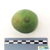 621imageIMG 20230803 141935 (2).jpg