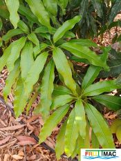 625imageIMG 20240716 114658(1).jpg