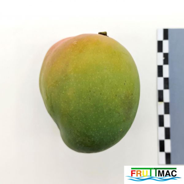 Archivo:611imageIMG 20230809 133220 (3).jpg