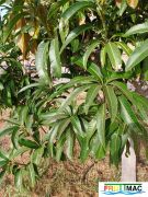 79imageIMG 20240717 092400(1).jpg