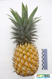 937imageIMG 5763.JPG