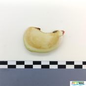 100imageIMG 20230821 144109.jpg