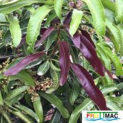 626imageIMG 3956.JPG